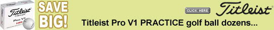 Titleist Pro V Practice Balls