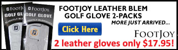Save on FootJoy Leather Blem Golf Gloves