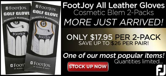FootJoy Cosmetic Blem Leather Golf Gloves