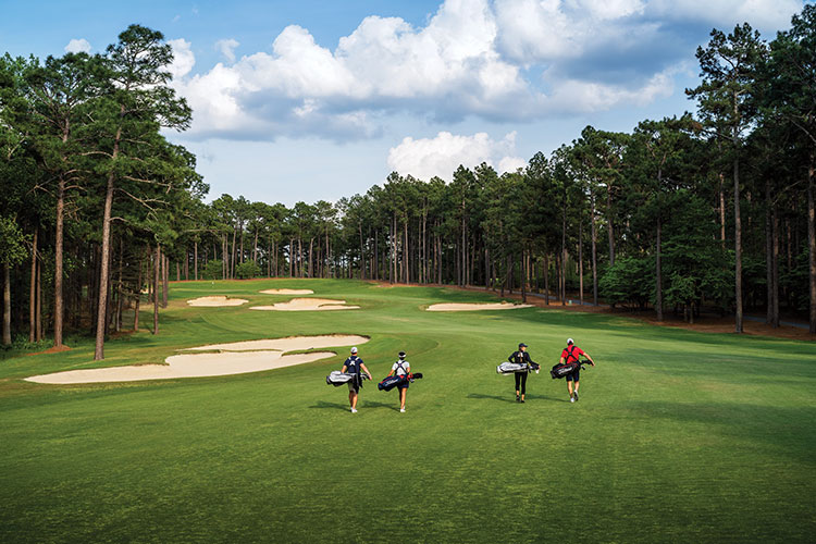 Titleist Golf at Golf Locker
