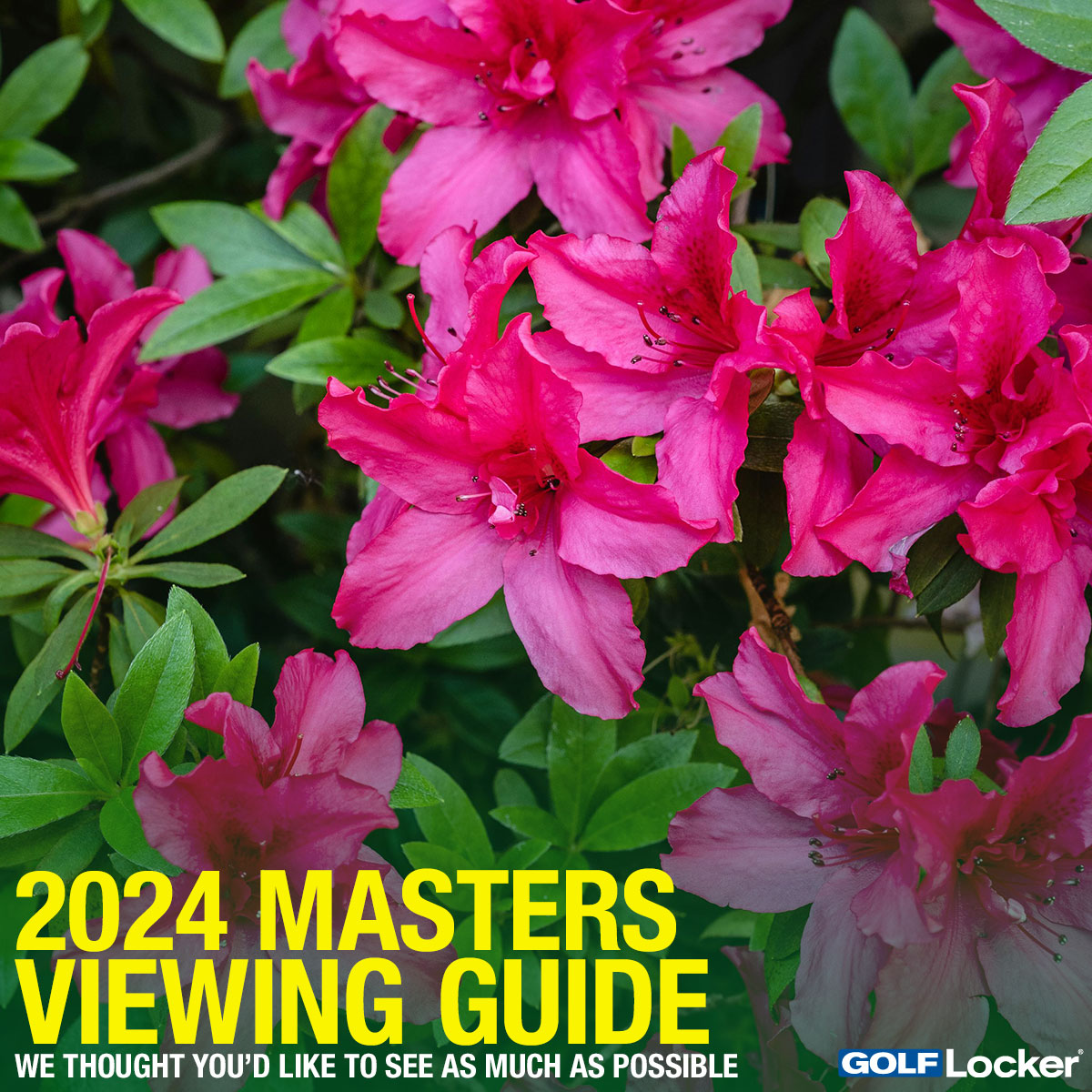2024 Masters Viewing Guide from Golf Locker